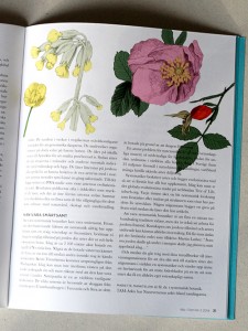 Illustration om botanik
