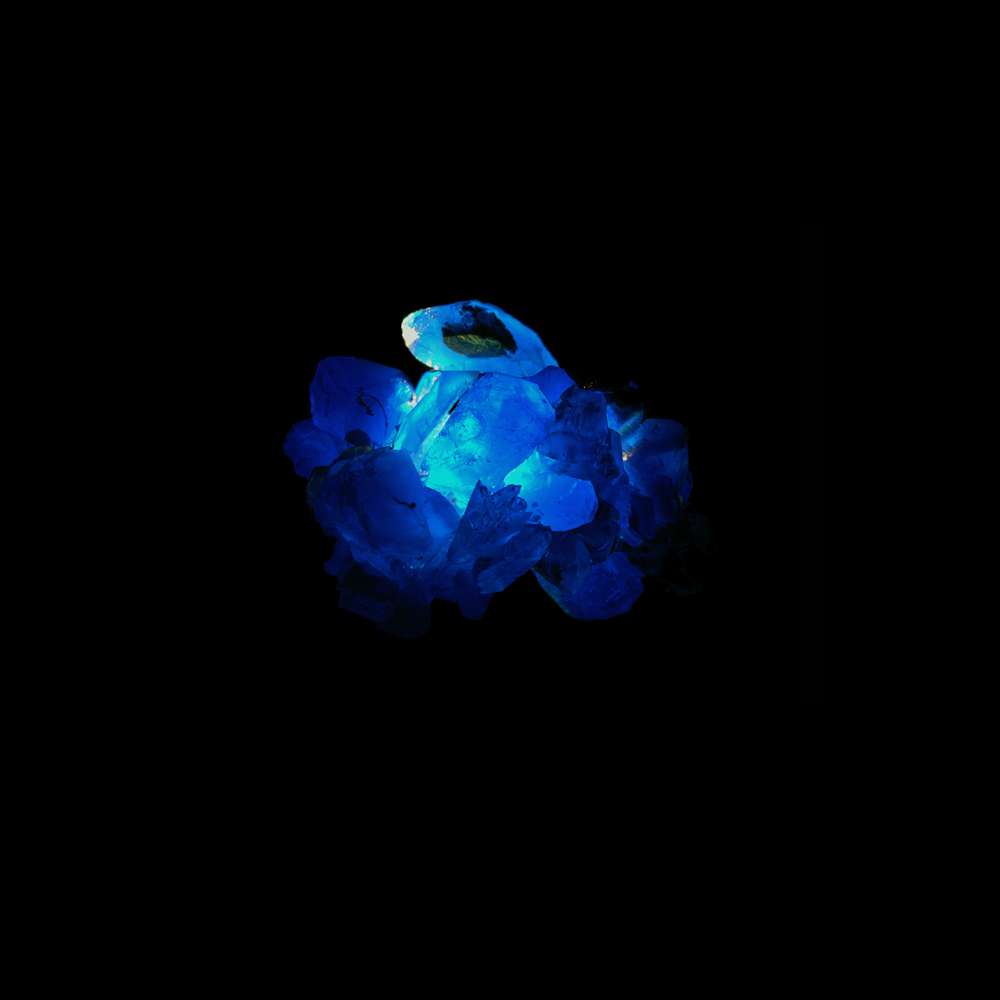 Isoform 2010