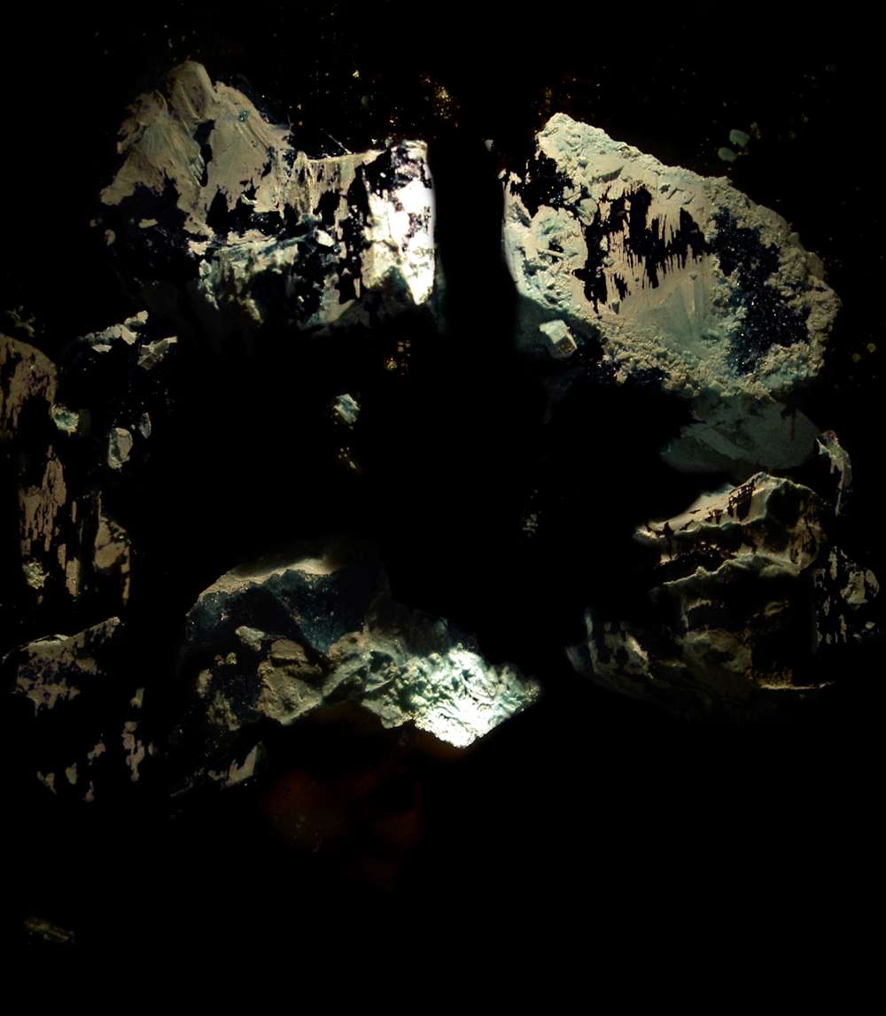 Isoform 2010 Isoform
